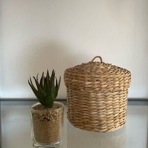 Small Woven Basket with Handle and Fake Mini Succulent, Home Decor Set